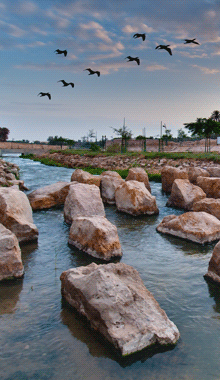 Wadi Hanifah