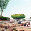 Wadi Hanifah